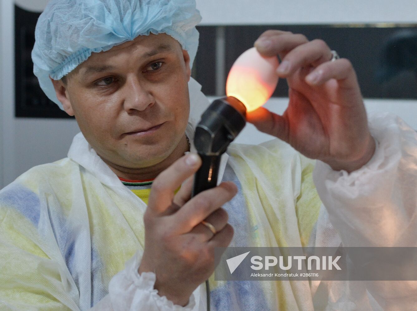 Utiniye Fermy agricultural complex in Chelyabinsk region