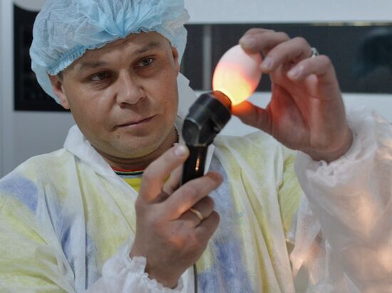 Utiniye Fermy agricultural complex in Chelyabinsk region