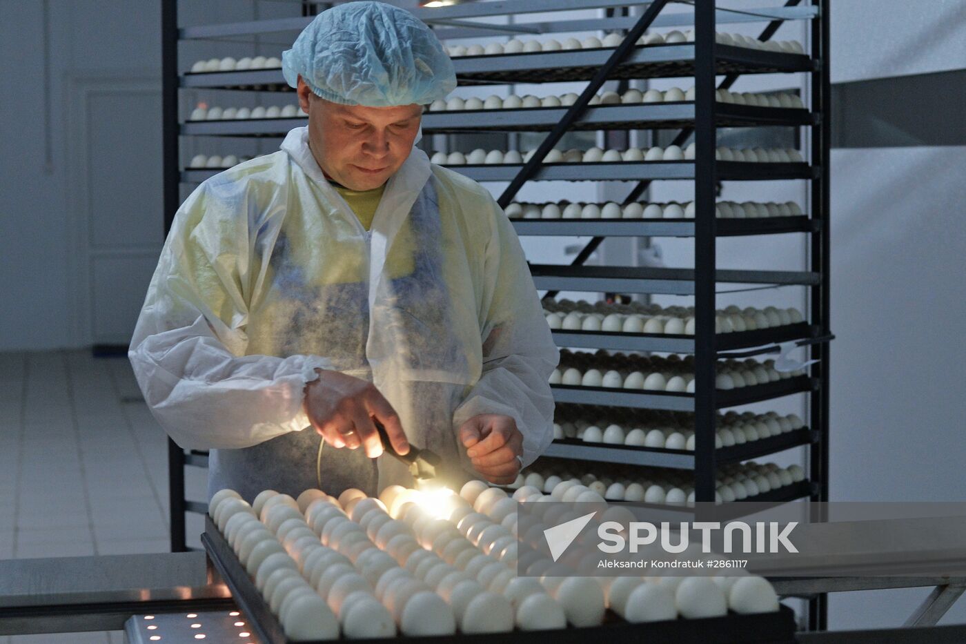 Utiniye Fermy agricultural complex in Chelyabinsk region