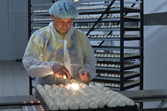 Utiniye Fermy agricultural complex in Chelyabinsk region