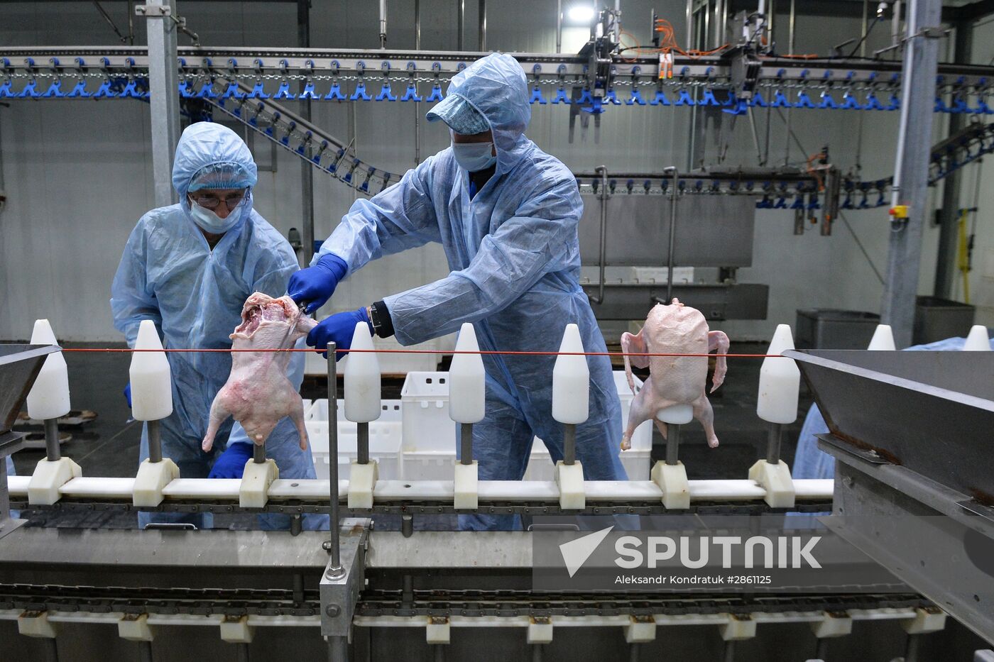 Utiniye Fermy agricultural complex in Chelyabinsk region