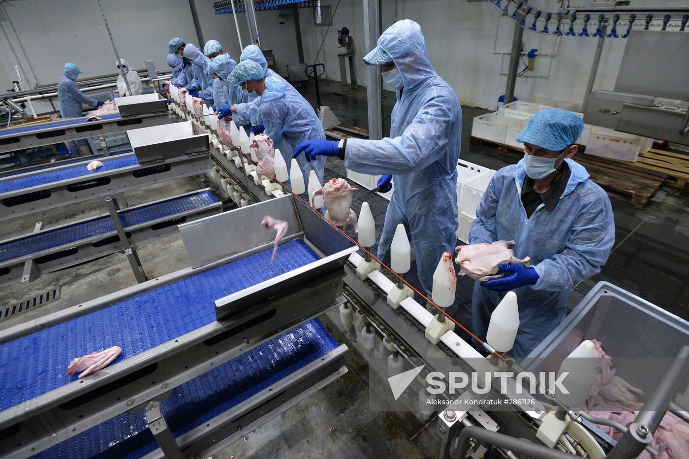 The Duck Farms agro-industrial facility in the Chelyabinsk Region