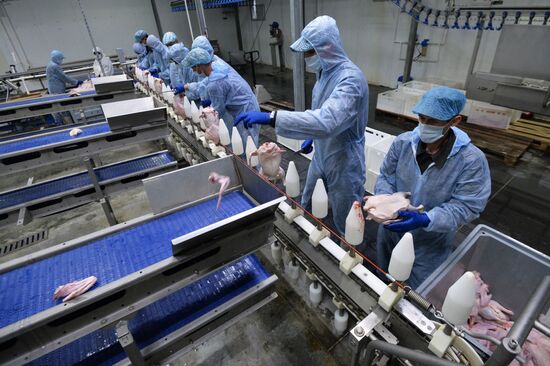 The Duck Farms agro-industrial facility in the Chelyabinsk Region