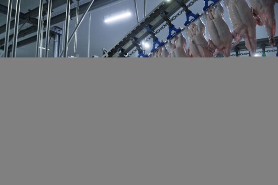 The Duck Farms agro-industrial facility in the Chelyabinsk Region