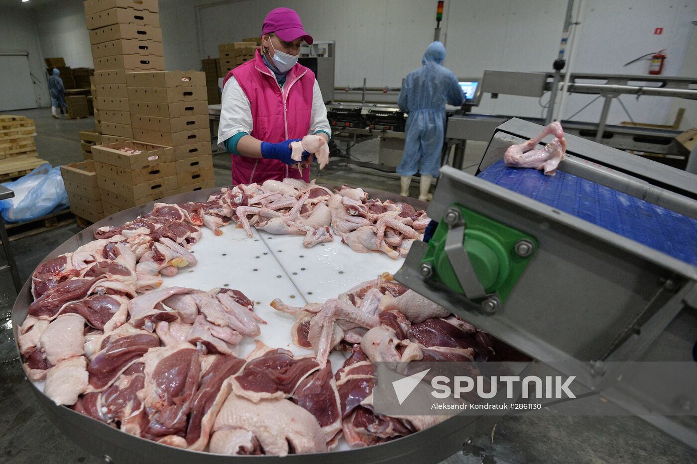 The Duck Farms agro-industrial facility in the Chelyabinsk Region