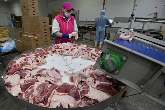 The Duck Farms agro-industrial facility in the Chelyabinsk Region