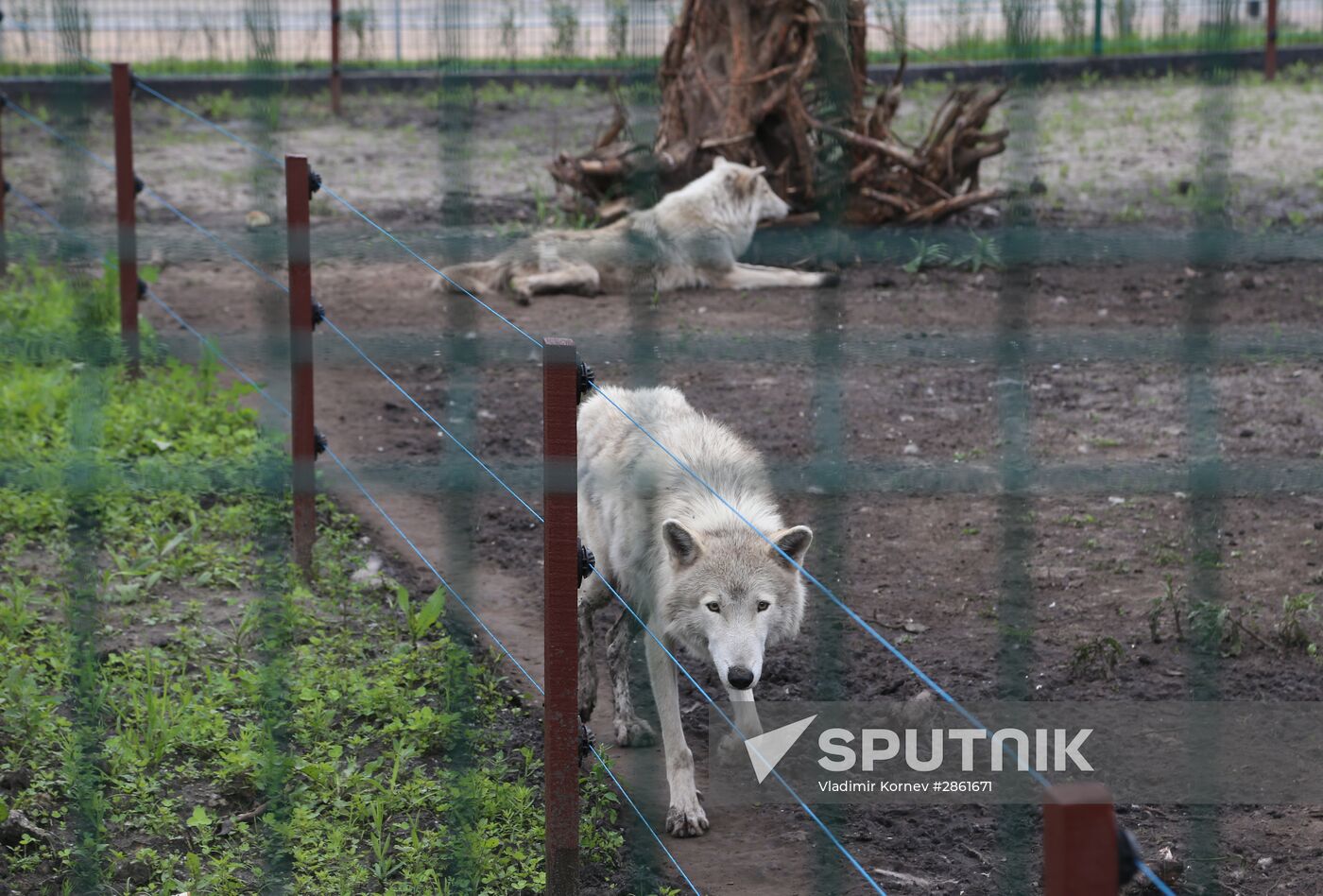 Belgorod Zoo opens
