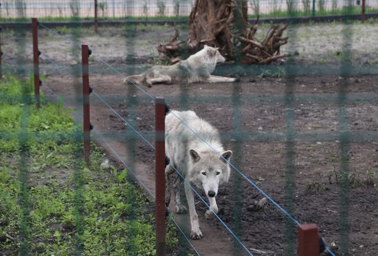 Belgorod Zoo opens