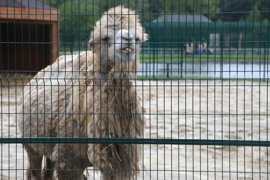 Belgorod Zoo opens