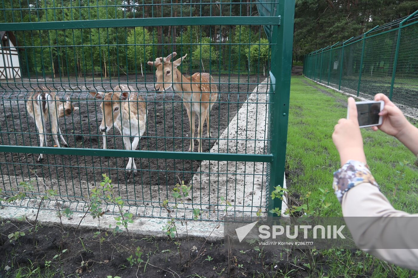 Belgorod Zoo opens