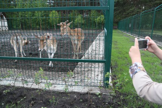 Belgorod Zoo opens