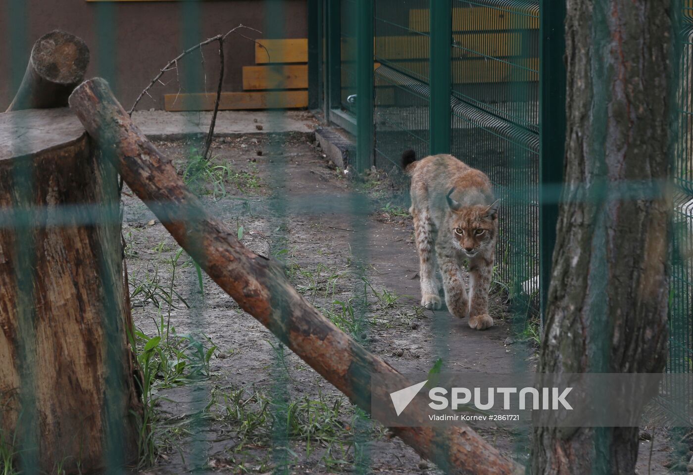 Belgorod Zoo opens