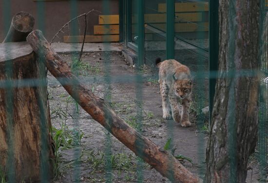 Belgorod Zoo opens