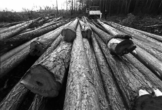 Baikal–Amur Mainline construction