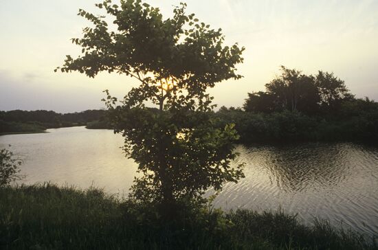 Mordovian National Nature Reserve