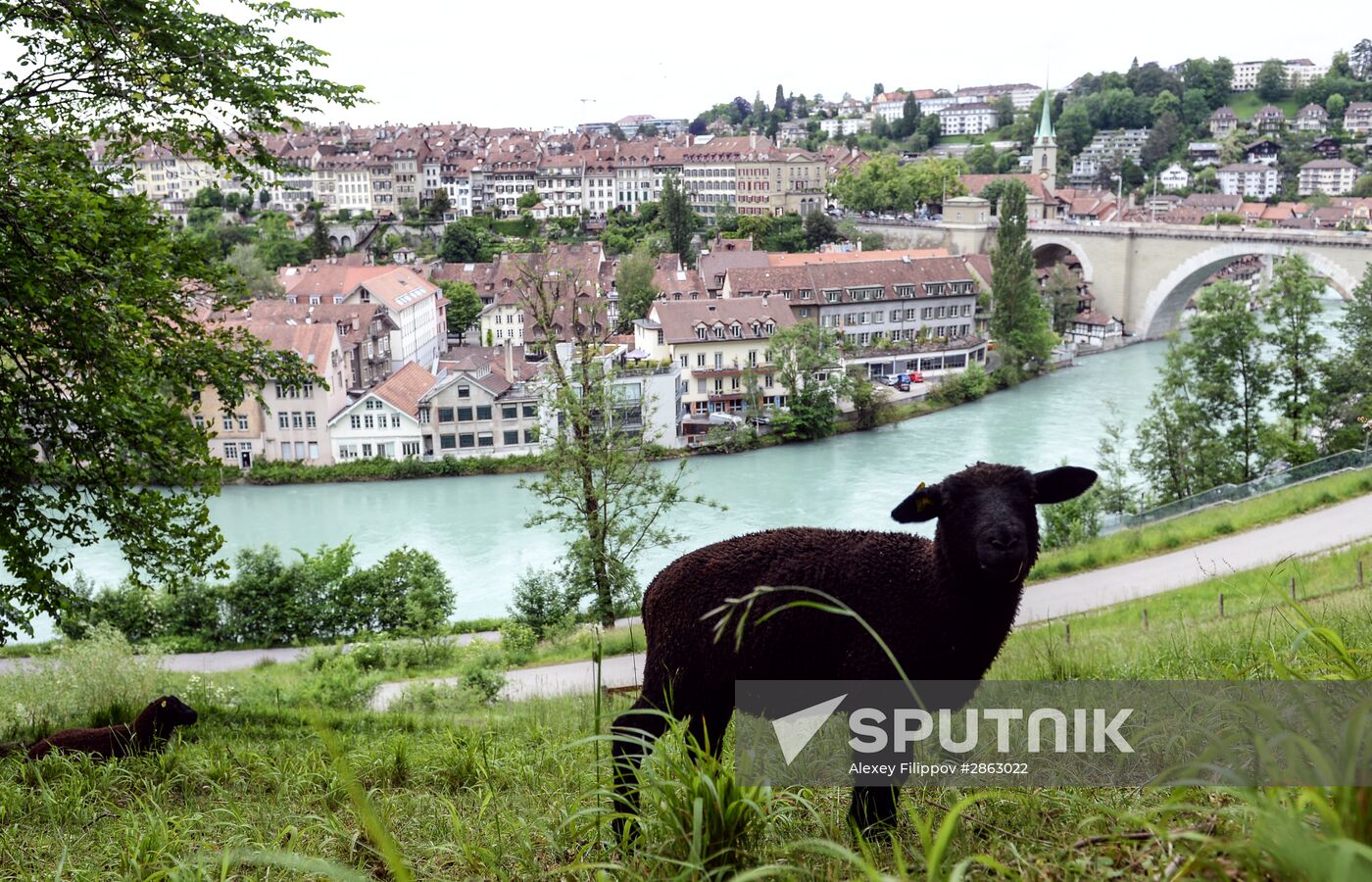 Cities of the world. Bern