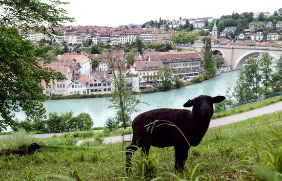 Cities of the world. Bern