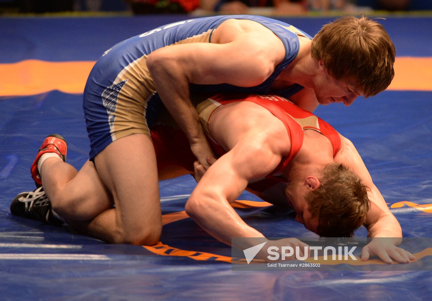 Russian National Greco-Roman Wrestling Championships