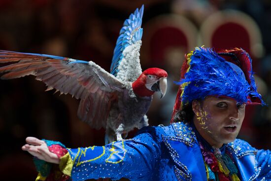 Water, Fire and Light Circus show in St. Petersburg
