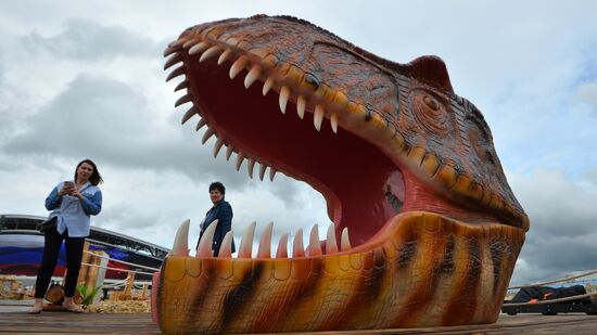 Yurkin Park Travel in Kazan