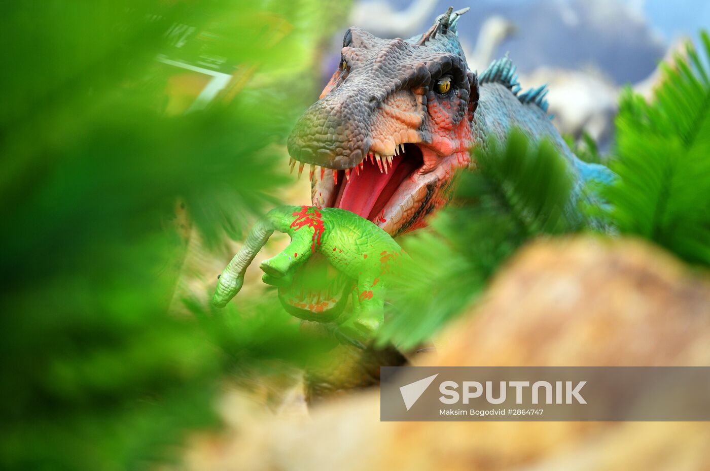 Yurkin Park Travel in Kazan