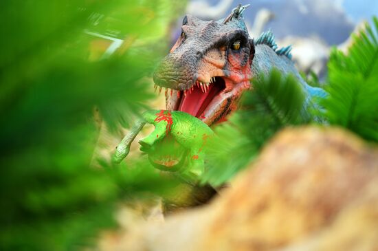 Yurkin Park Travel in Kazan