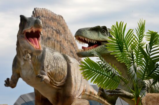 Yurkin Park Travel in Kazan