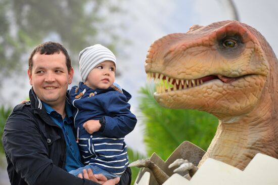 Yurkin Park Travel in Kazan