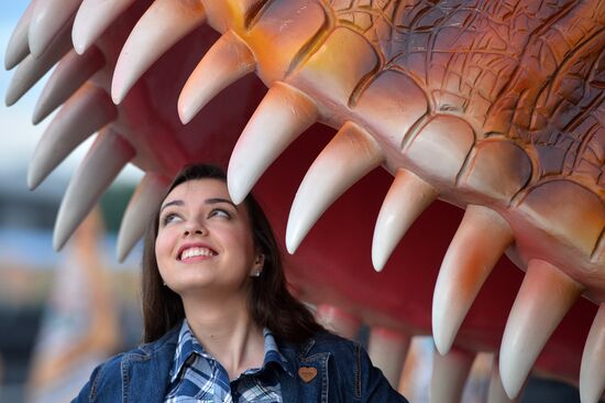 Yurkin Park Travel in Kazan