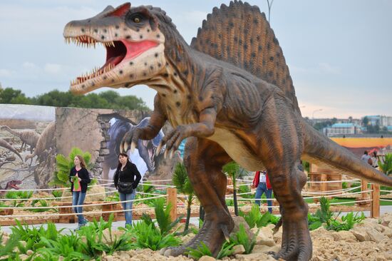 Yurkin Park Travel in Kazan