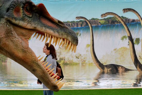 Yurkin Park Travel in Kazan