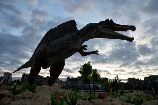 Yurkin Park Travel in Kazan