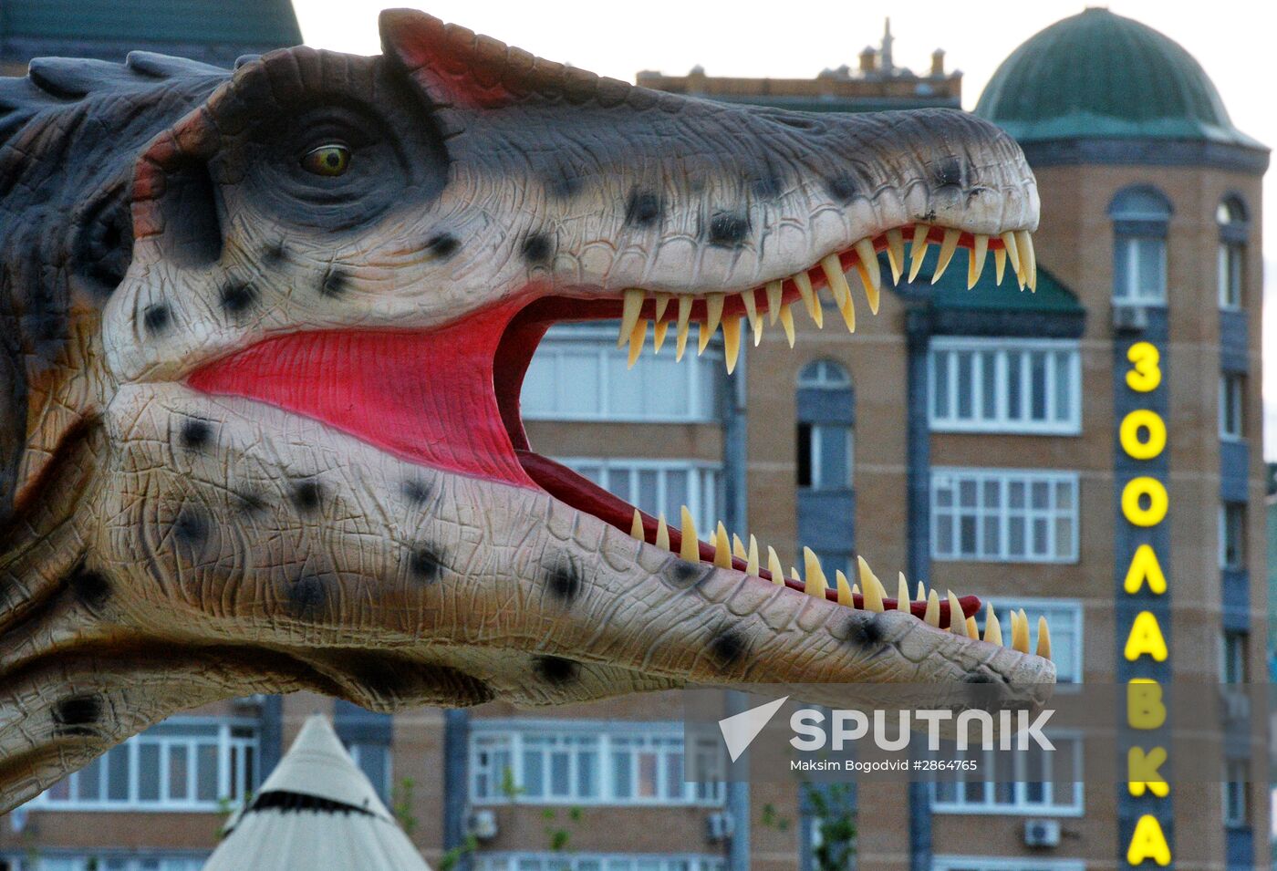 Yurkin Park Travel in Kazan