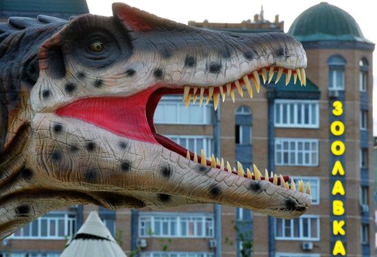 Yurkin Park Travel in Kazan