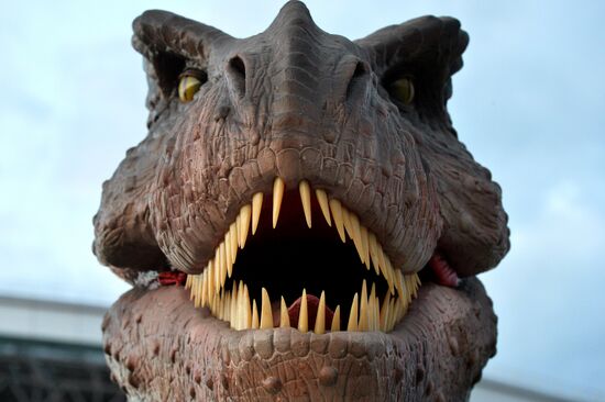 Yurkin Park Travel in Kazan