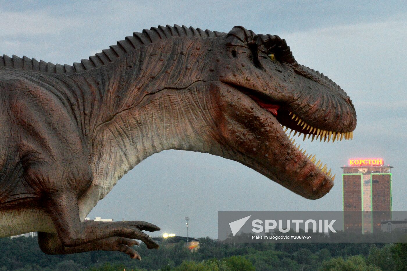 Yurkin Park Travel in Kazan