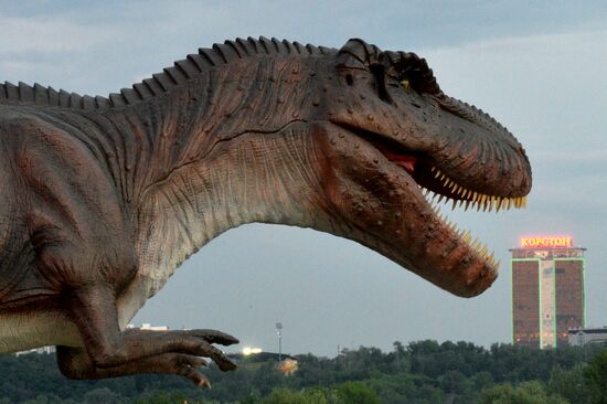 Yurkin Park Travel in Kazan