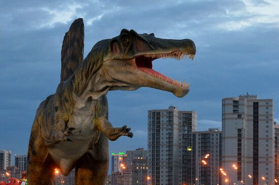 Yurkin Park Travel in Kazan