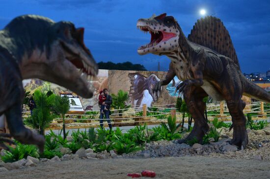 Yurkin Park Travel in Kazan