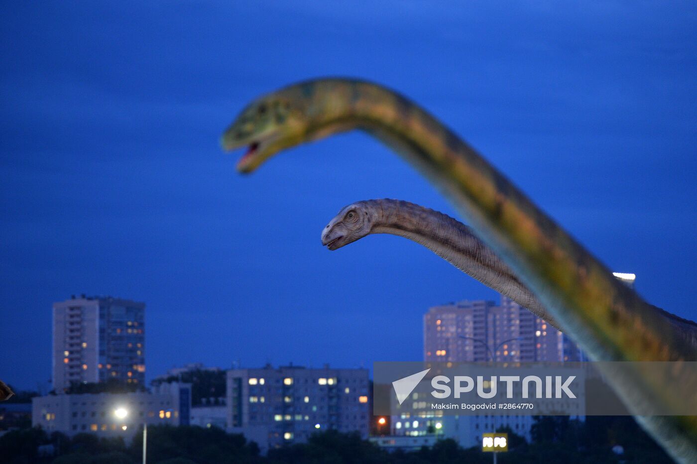 Yurkin Park Travel in Kazan