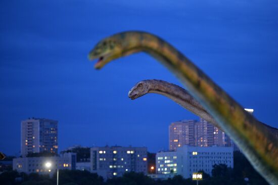 Yurkin Park Travel in Kazan