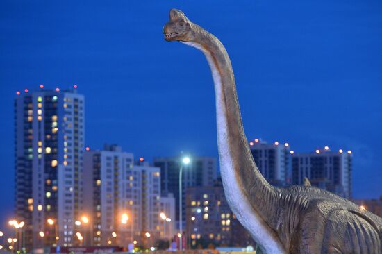 Yurkin Park Travel in Kazan