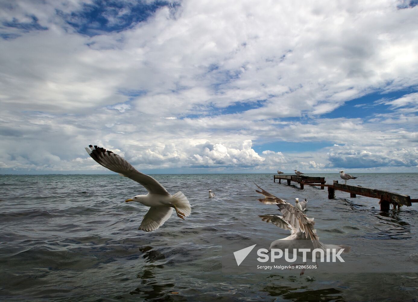 Russian regions. Crimea