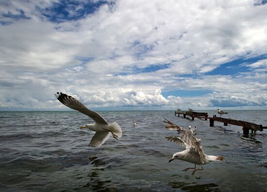 Russian regions. Crimea