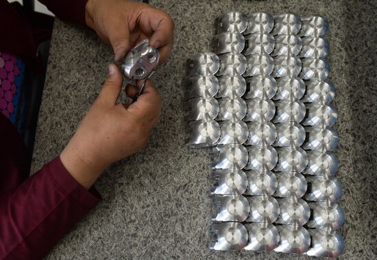 First line of medical industry technopark opens in Novosibirsk