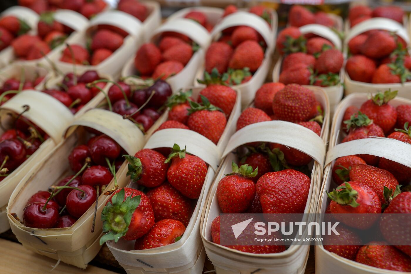 Oh, Yes! Food! festival