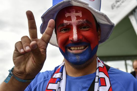 Football. UEFA Euro 2016, Wales vs. Slovakia