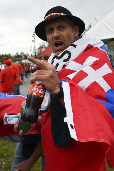 Football. UEFA Euro 2016, Wales vs. Slovakia