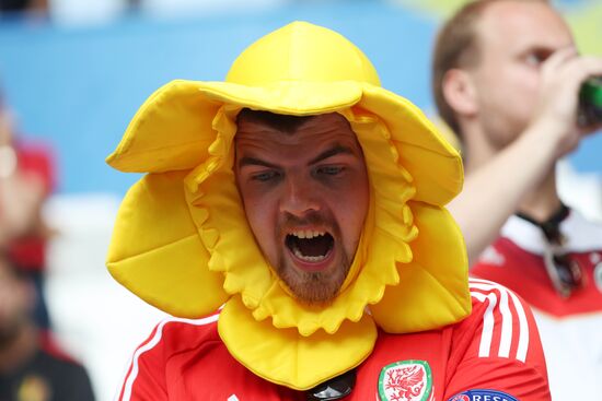 Football. UEFA Euro 2016, Wales vs. Slovakia