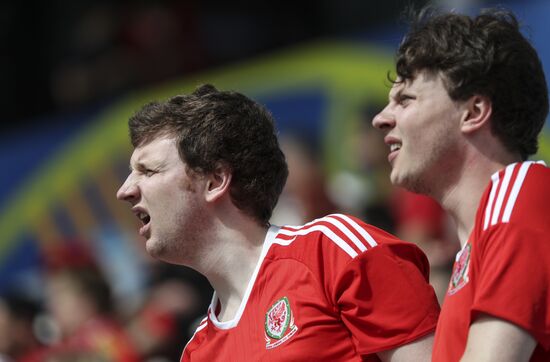 UEFA Euro 2016. Wales vs. Slovakia